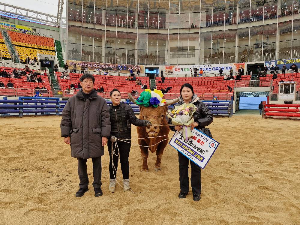 멋진소 100회 출전 기념 (노영화/창녕)