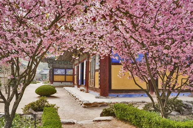 이미지가 없습니다