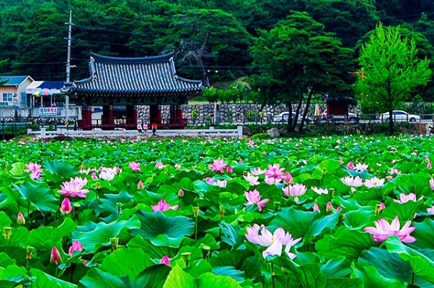 이미지가 없습니다