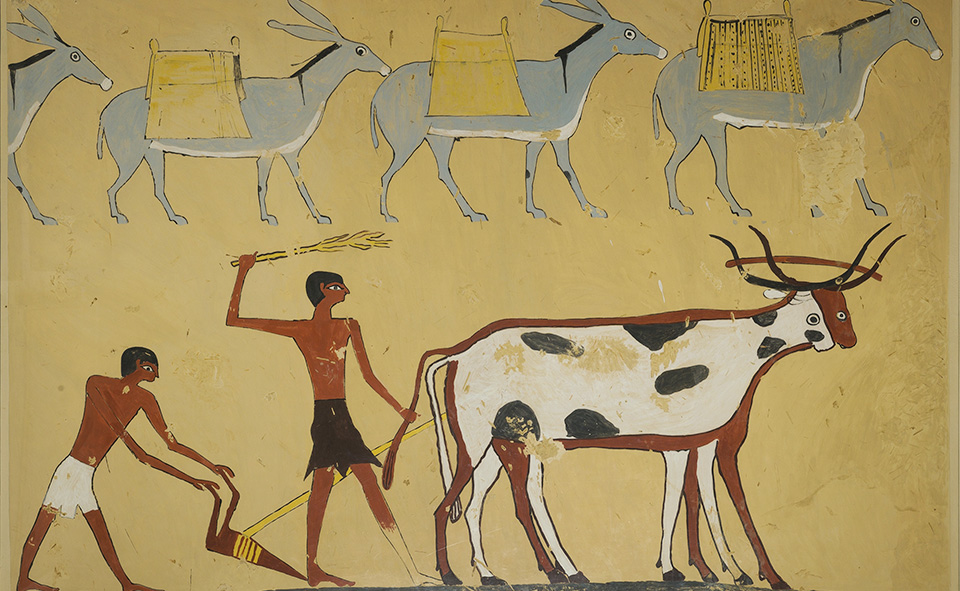 BC4500년경 할라프기의 유적