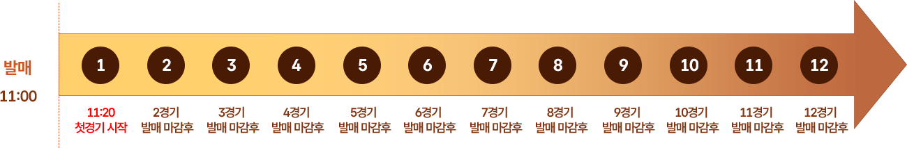 경기 시행일정 및 횟수