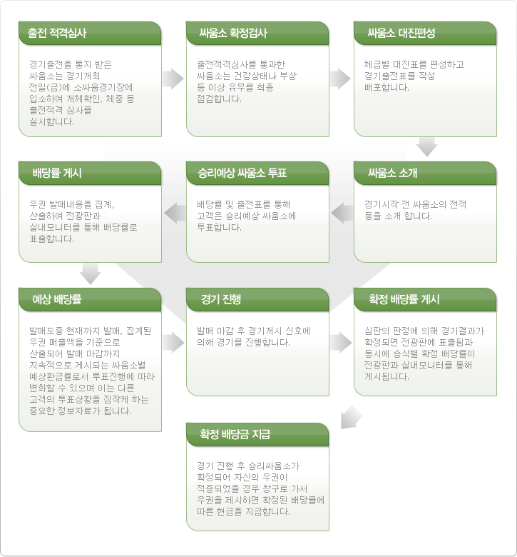 경기진행과정